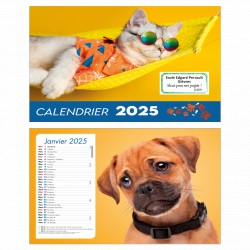 Calendriers 12 pages "Chat-Chien"